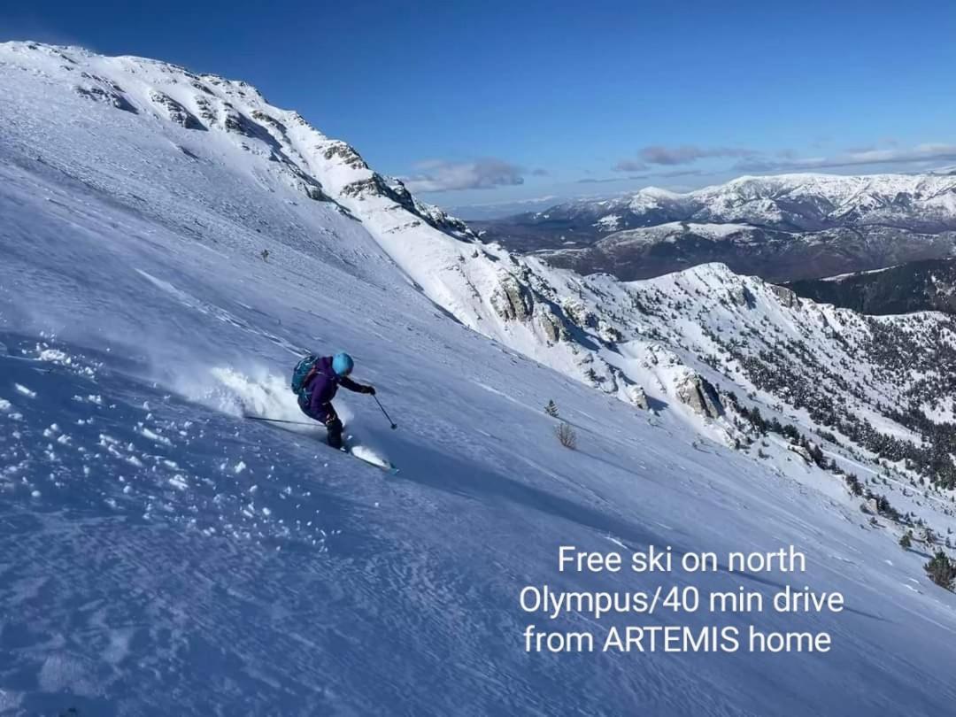 Artemis Home Pétra Dış mekan fotoğraf